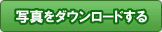 ʐ^_E[h