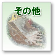 ̑
